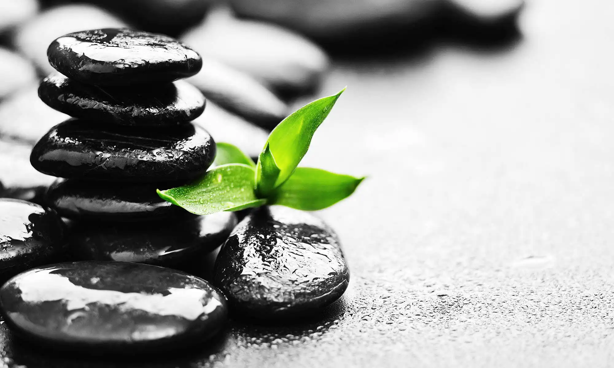 Masszázs 13 - masszázsszalon 13. kerület - Árpád híd